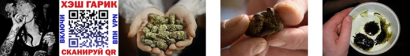 Купить где  Андреаполь  Гашиш AMNESIA HAZE 