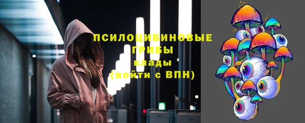 ГАЛЛЮЦИНОГЕННЫЕ ГРИБЫ Иннополис