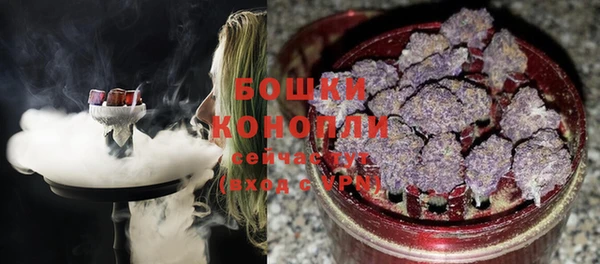 ГАЛЛЮЦИНОГЕННЫЕ ГРИБЫ Иннополис
