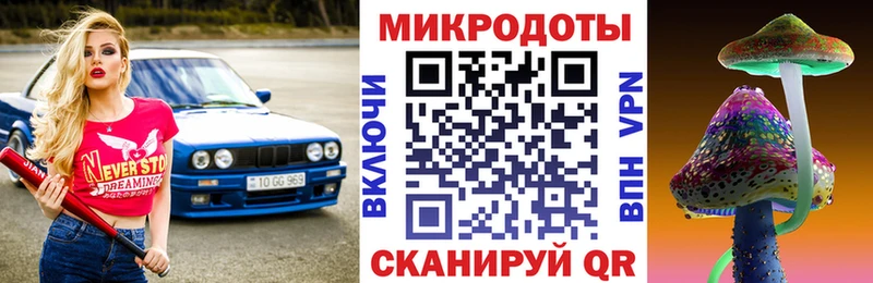 Купить где  Андреаполь  Псилоцибиновые грибы Psilocybe 